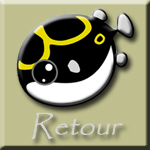 Retour